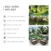 Bộ bàn ghế Bistro set mây nhựa Howard