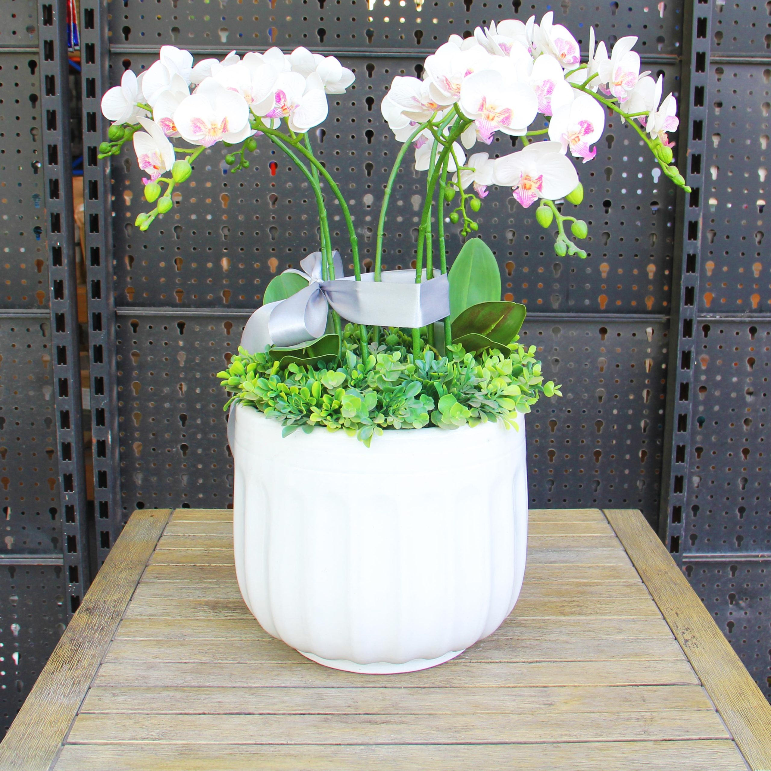 Chậu gốm trồng cây Moongo 3 Chậu gốm trồng cây Moongo