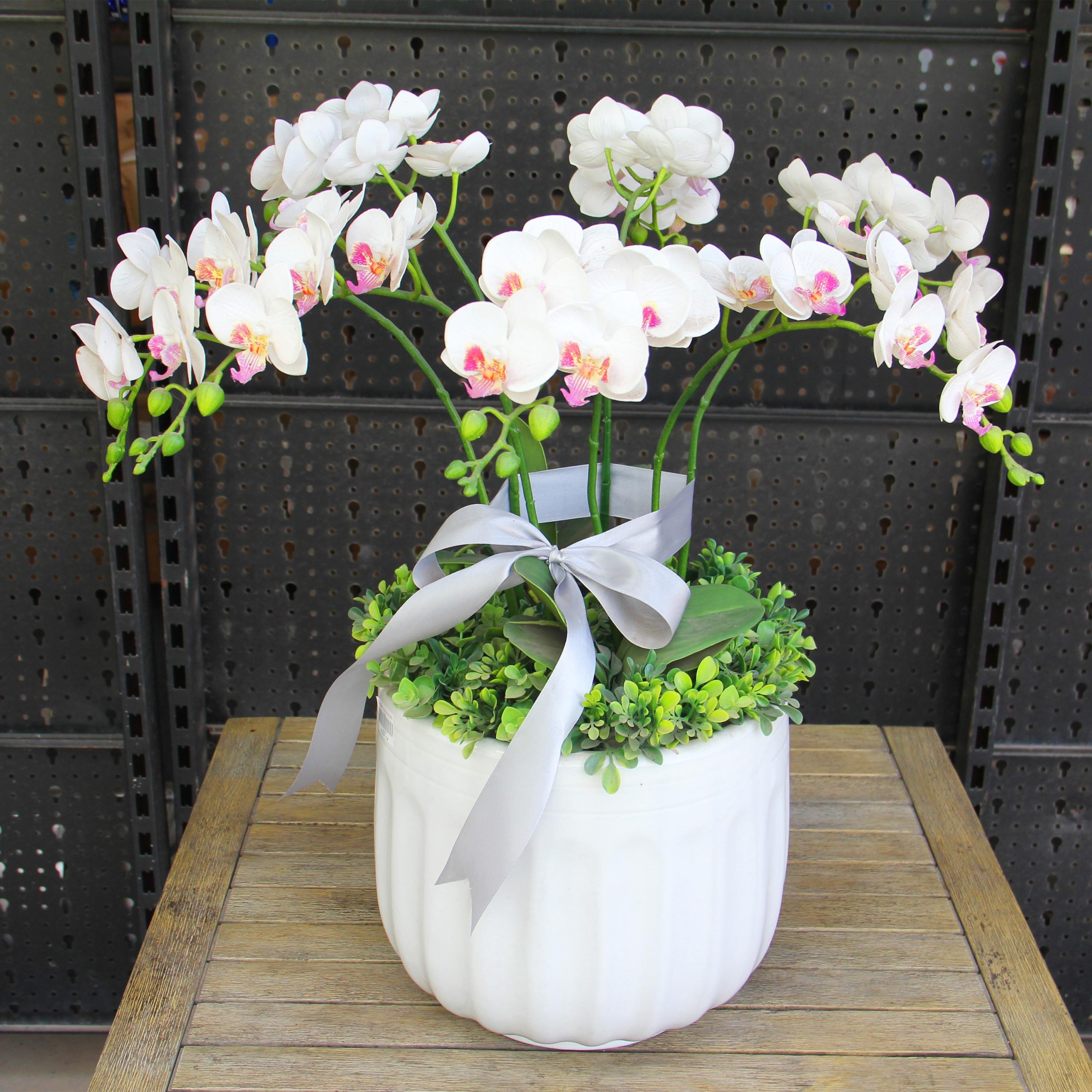 Chậu gốm trồng cây Moongo 2 Chậu gốm trồng cây Moongo
