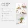 Kệ Treo Tường Gỗ Thông kèm dây thừng
