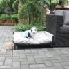 Giường Sofa Hình Chữ Nhật Cho Chó Mèo – Vải Teddy Trắng Kem
