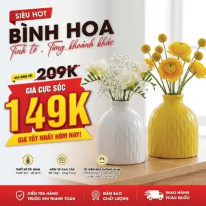 Bình Gốm Ivory hoa văn sọc