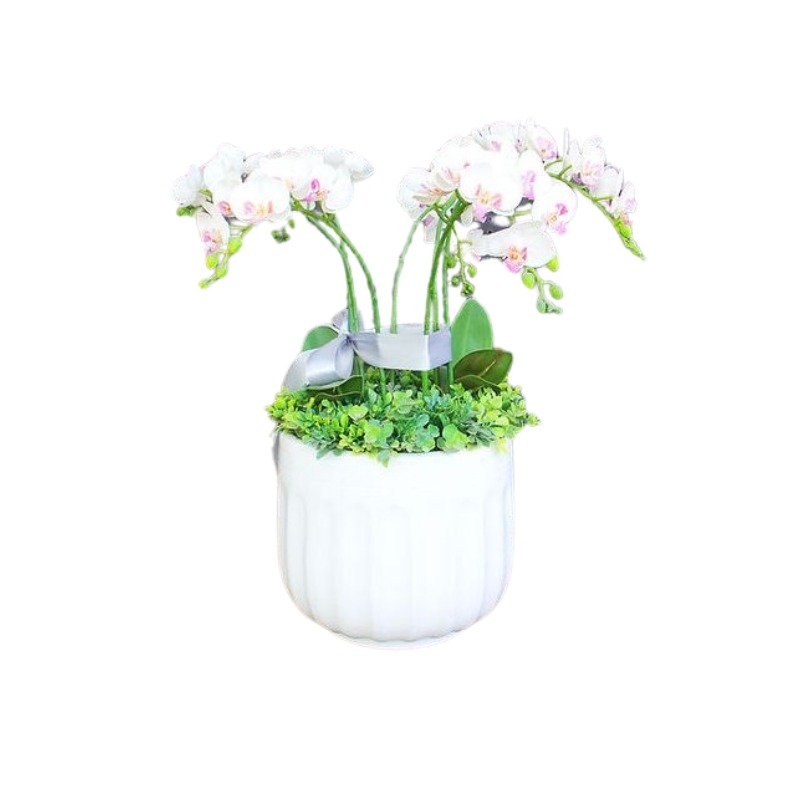 Chậu gốm trồng cây Moongo 1 Chậu gốm trồng cây Moongo