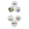 Đế Lót Ly Bằng Sứ 50 Đế Lót Ly Bằng Sứ