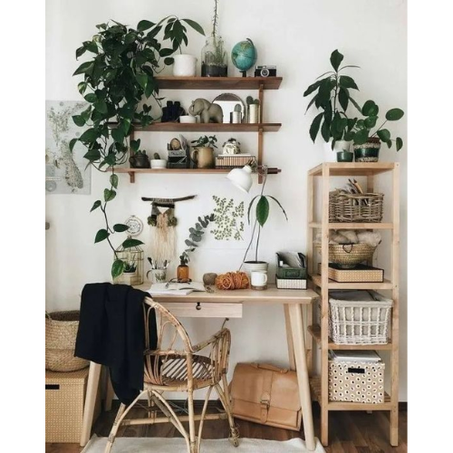 Hướng Dẫn Decor Không Gian Làm Việc Theo Phong Cách Tropical 130 Hướng Dẫn Decor Không Gian Làm Việc Theo Phong Cách Tropical