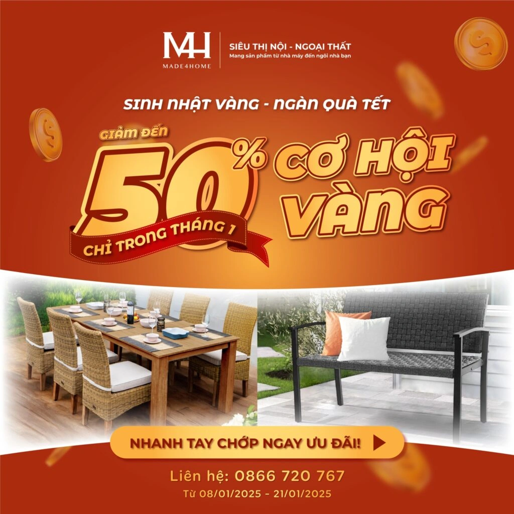 50% OFF – CƠ HỘI VÀNG CHỈ TRONG THÁNG 1! 11 50% OFF – CƠ HỘI VÀNG CHỈ TRONG THÁNG 1!