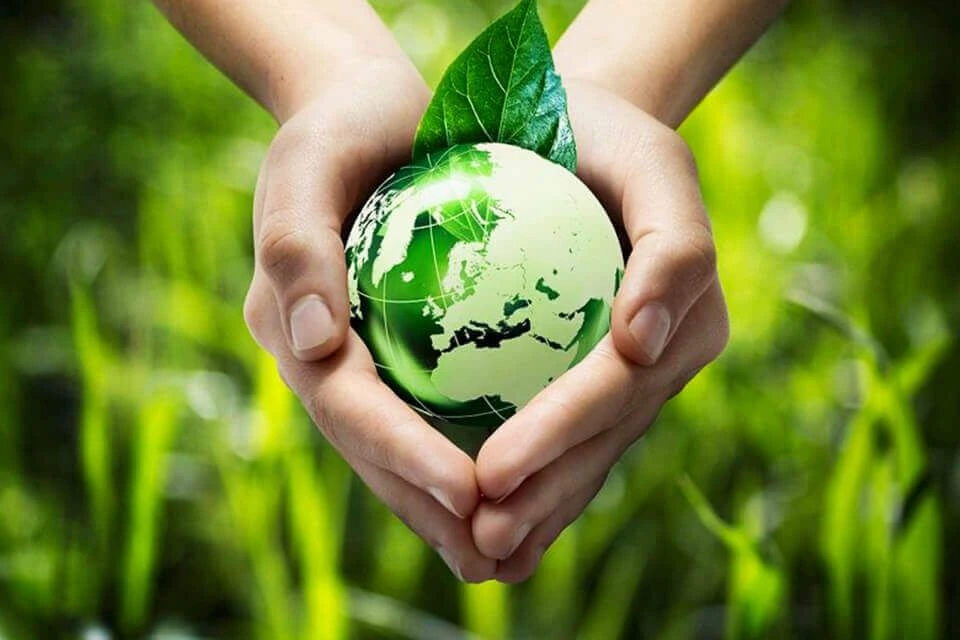 Giá trị của môi trường xung quanh em