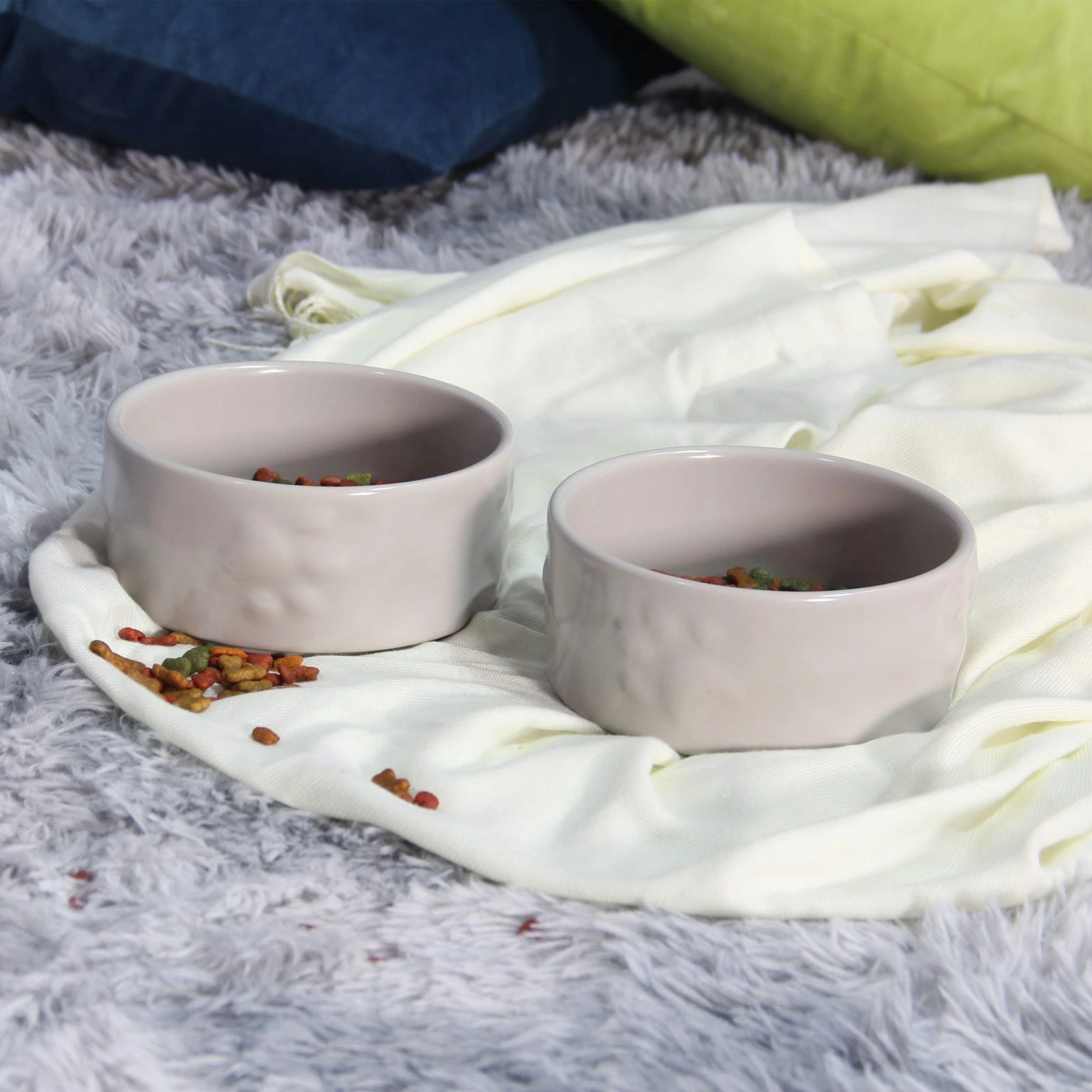 Vật Dụng Cho Thú Cưng Cần Thiết Cho Người Nuôi Lần Đầu