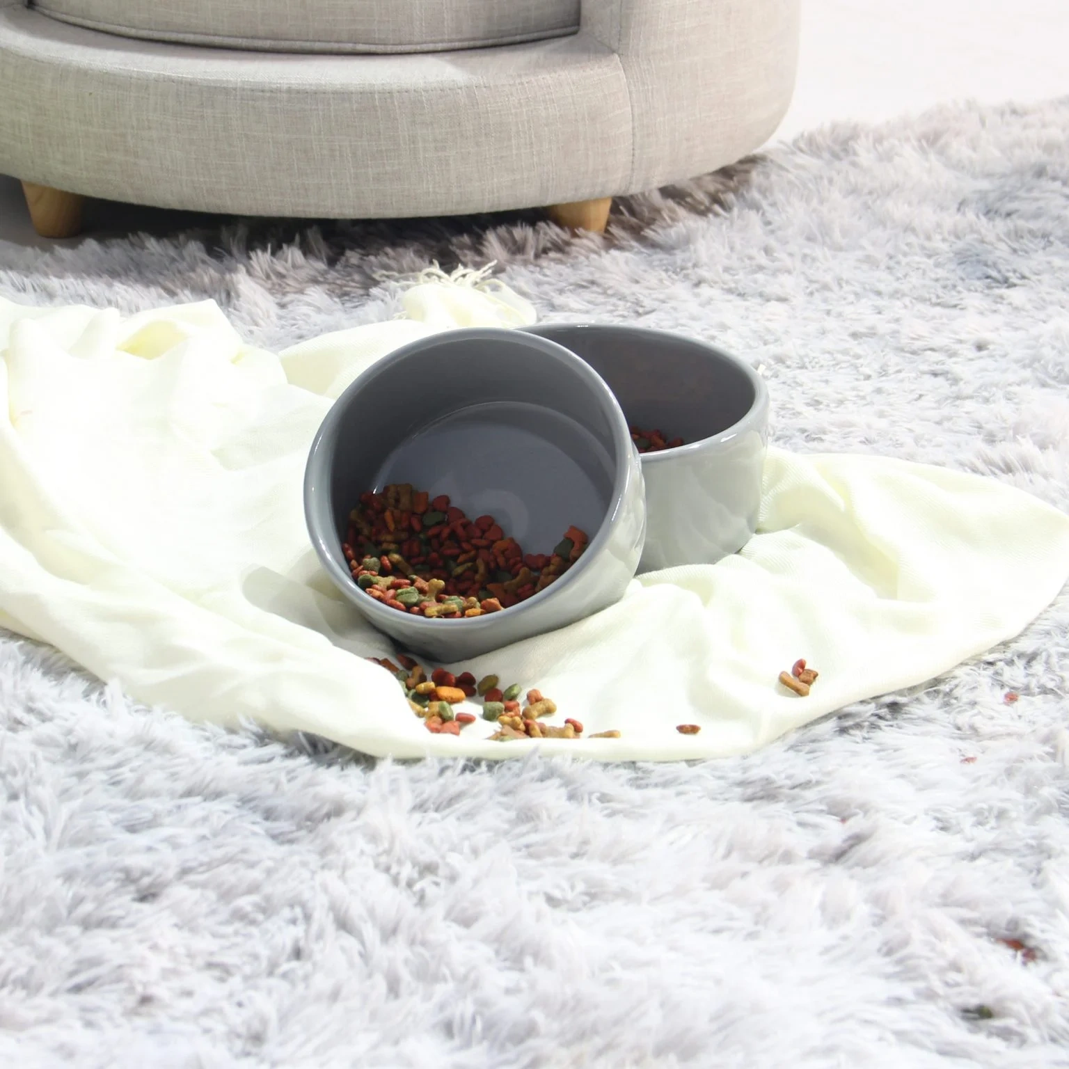 Cách Chọn Chén Ăn Thú Cưng Phù Hợp Với Từng Giống Chó Mèo