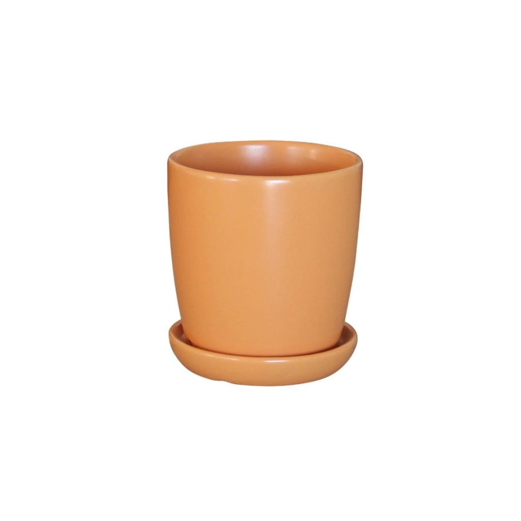 Cách Chọn Chậu Cây Trang Trí Đẹp Bền Và Dễ Phối Nội Thất