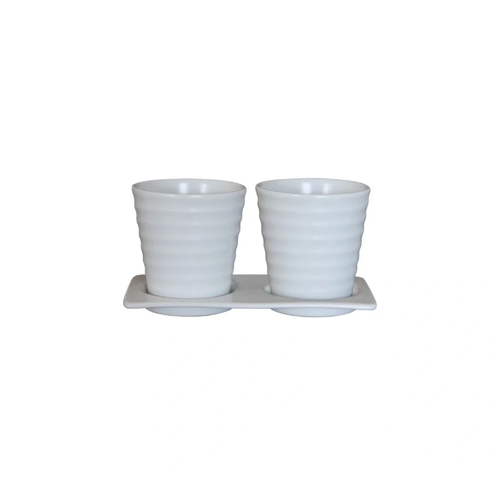 Gợi Ý Chậu Cây Cảnh Trong Nhà Đẹp Giúp Không Gian Thêm Sinh Động 4 Gợi Ý Chậu Cây Cảnh Trong Nhà Đẹp Giúp Không Gian Thêm Sinh Động