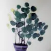 Thố Chưng Gốm Sứ Cao Cấp Made4Home 2 Lớp Nắp Giữ Nhiệt, Thiết Kế Sang Trọng Cho Gian Bếp Việt 38 Thố Chưng Gốm Sứ Cao Cấp Made4Home 2 Lớp Nắp Giữ Nhiệt, Thiết Kế Sang Trọng Cho Gian Bếp Việt