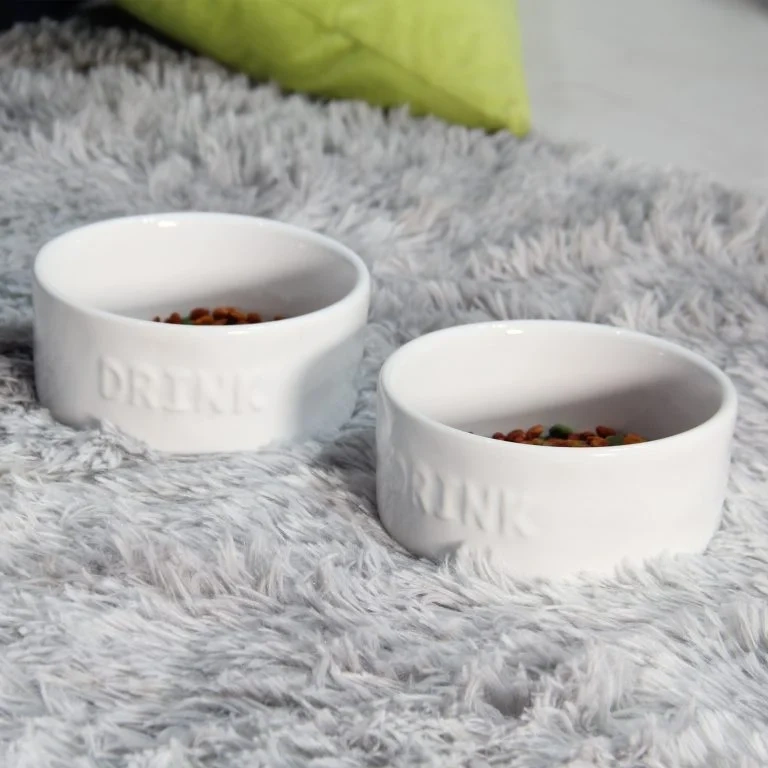 Chén Ăn Thú Cưng Cho Pet Và Bí Quyết Chăm Sóc Thú Cưng Khoa Học 9 Chén Ăn Thú Cưng Cho Pet Và Bí Quyết Chăm Sóc Thú Cưng Khoa Học