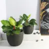Egg Poly Planter (Set Of 2) – Green Grey 14 Egg Poly Planter (Set Of 2) – Green Grey