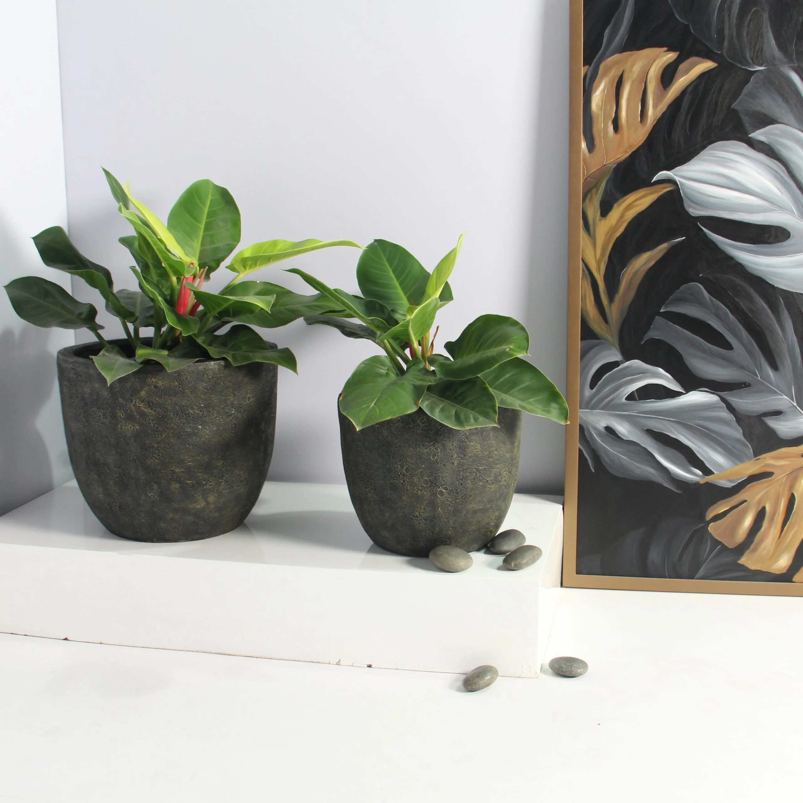 Egg Poly Planter (Set Of 2) – Green Grey 8 Egg Poly Planter (Set Of 2) – Green Grey - Ảnh 8