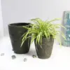 Milan Urn Poly Planter (Set Of 2) – Green Brown