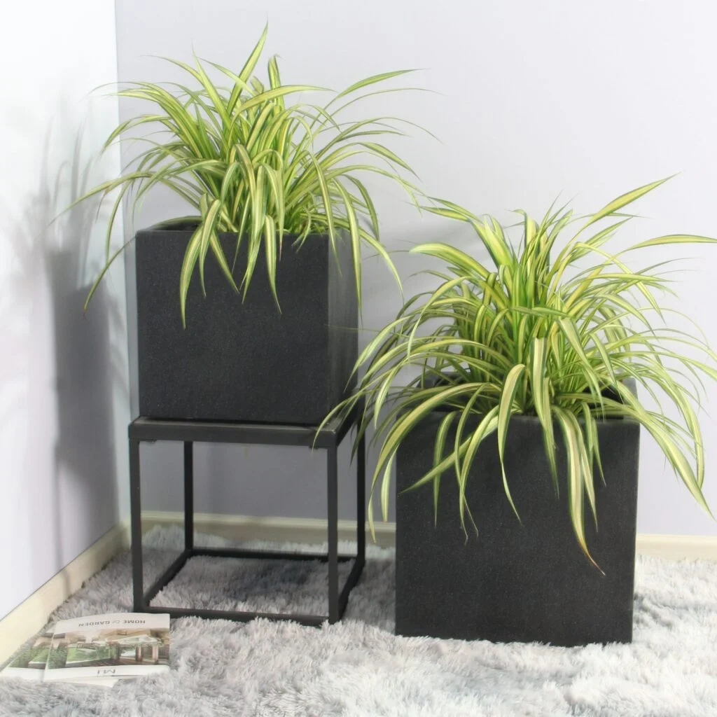 Chậu Cây Trang Trí Đẹp Giúp Không Gian Sống Thêm Sinh Động Và Hiện Đại 10 Chậu Cây Trang Trí Đẹp Giúp Không Gian Sống Thêm Sinh Động Và Hiện Đại