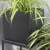 Rhine Square Poly Planter (Set Of 2) – Black 21 Rhine Square Poly Planter (Set Of 2) – Black