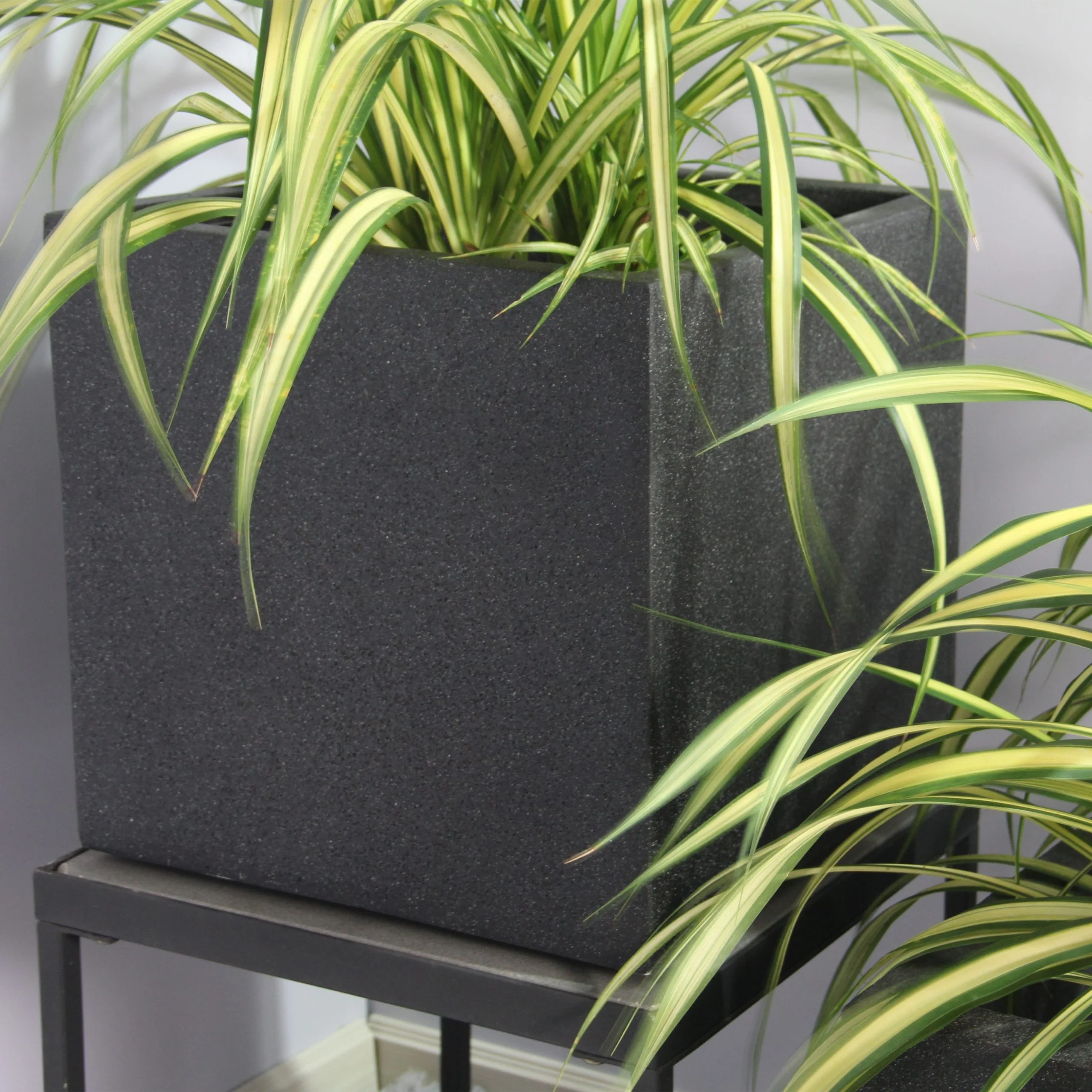 Rhine Square Poly Planter (Set Of 2) – Black 11 Rhine Square Poly Planter (Set Of 2) – Black - Ảnh 11