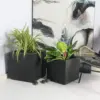 Rhine Square Poly Planter (Set Of 2) – Black 18 Rhine Square Poly Planter (Set Of 2) – Black