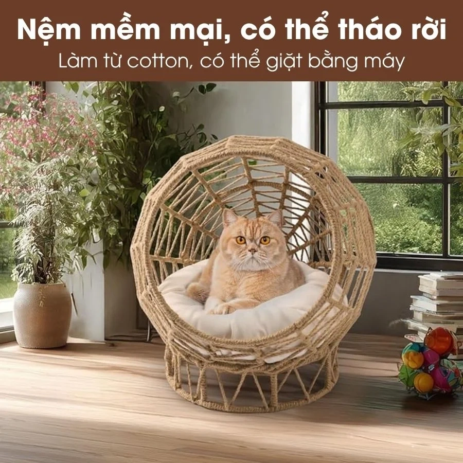 Khám Phá Xu Hướng Nội Thất Cho Thú Cưng Được Yêu Thích Nhất 2026 Hiện Nay 3 Khám Phá Xu Hướng Nội Thất Cho Thú Cưng Được Yêu Thích Nhất 2026 Hiện Nay