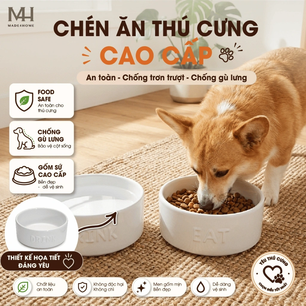 Những Đồ Dùng Cho Pet Cần Có Để Chăm Sóc Thú Cưng Toàn Diện