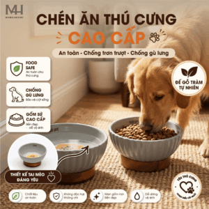 Home 50 Chén Ăn Thú Cưng Gốm Sứ Kèm Đế Gỗ – Thiết Kế Nâng Cao, An Toàn Cho Chó Mèo