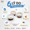 Chén Ăn Thú Cưng Gốm Sứ Kèm Đế Gỗ – Thiết Kế Nâng Cao, An Toàn Cho Chó Mèo
