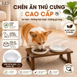 Chén Ăn Thú Cưng Nâng Cao Kèm Kệ Gỗ – Thiết Kế Tai Mèo Đẹp, Chống Gù, An Toàn Cho Chó Mèo