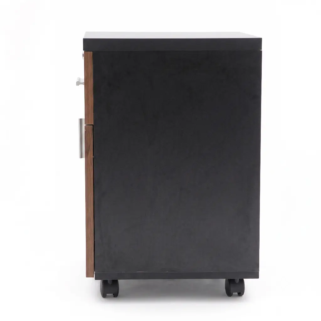 Tab văn phòng 2 ngăn có bánh xe - Gỗ MDF 9 Tab văn phòng 2 ngăn có bánh xe - Gỗ MDF - Ảnh 9