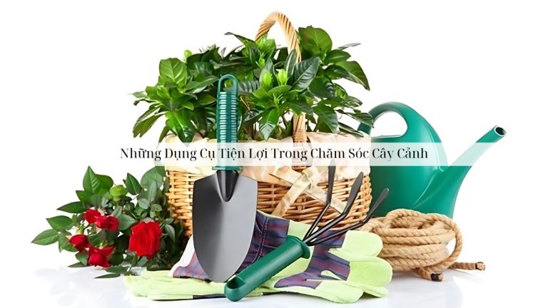 Những Dụng Cụ Tiện Lợi Trong Chăm Sóc Cây Cảnh