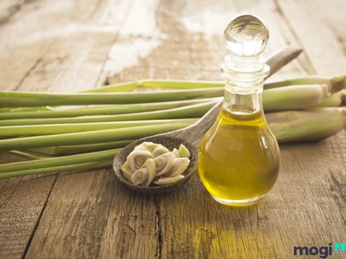 Xông nhà bằng tỏi, sả, quế tươi