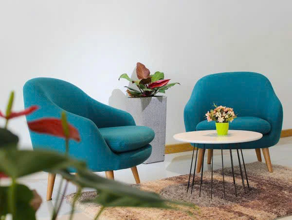 Sofa mini còn giúp tạo điểm nhấn cho không gian sống