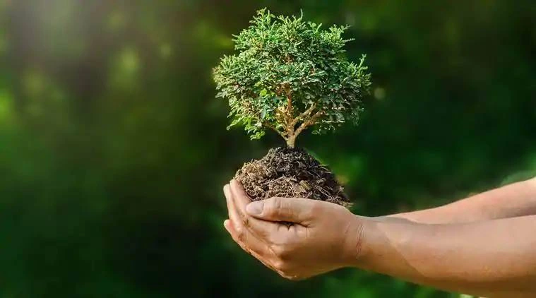 Giá trị của môi trường xung quanh em