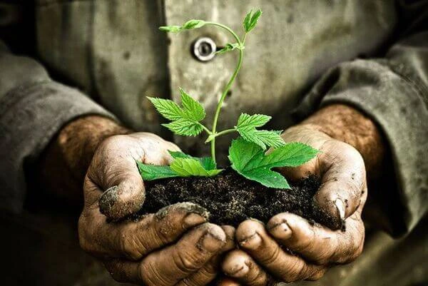 Giá trị của môi trường xung quanh em