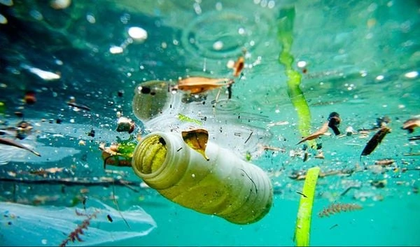 Ô nhiễm môi trường nước do rác thải làm mất cân bằng sinh thái