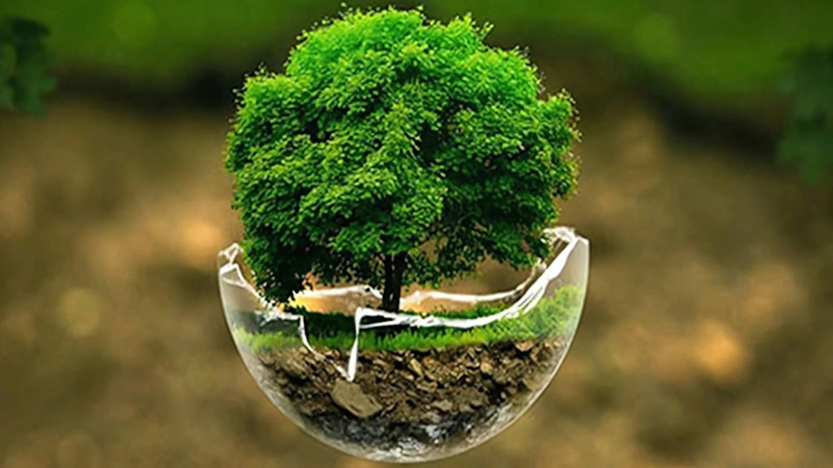 Mệnh mộc trong ngũ hành