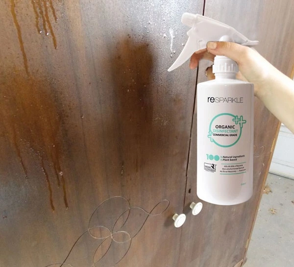 Gỗ bị mốc và dấu hiệu nhận biết