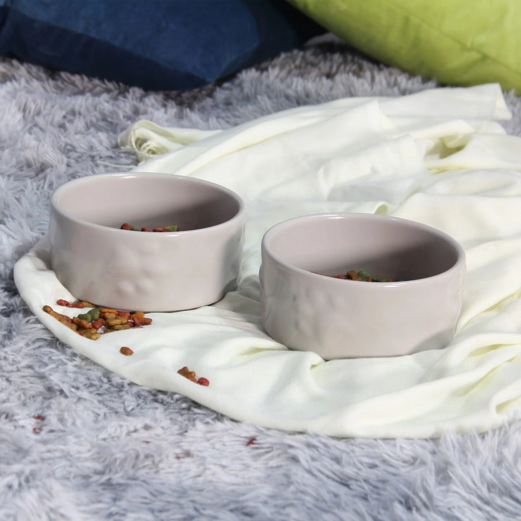 Chén Ăn Thú Cưng: Top Mẫu Bền Đẹp, An Toàn Và Tiện Lợi