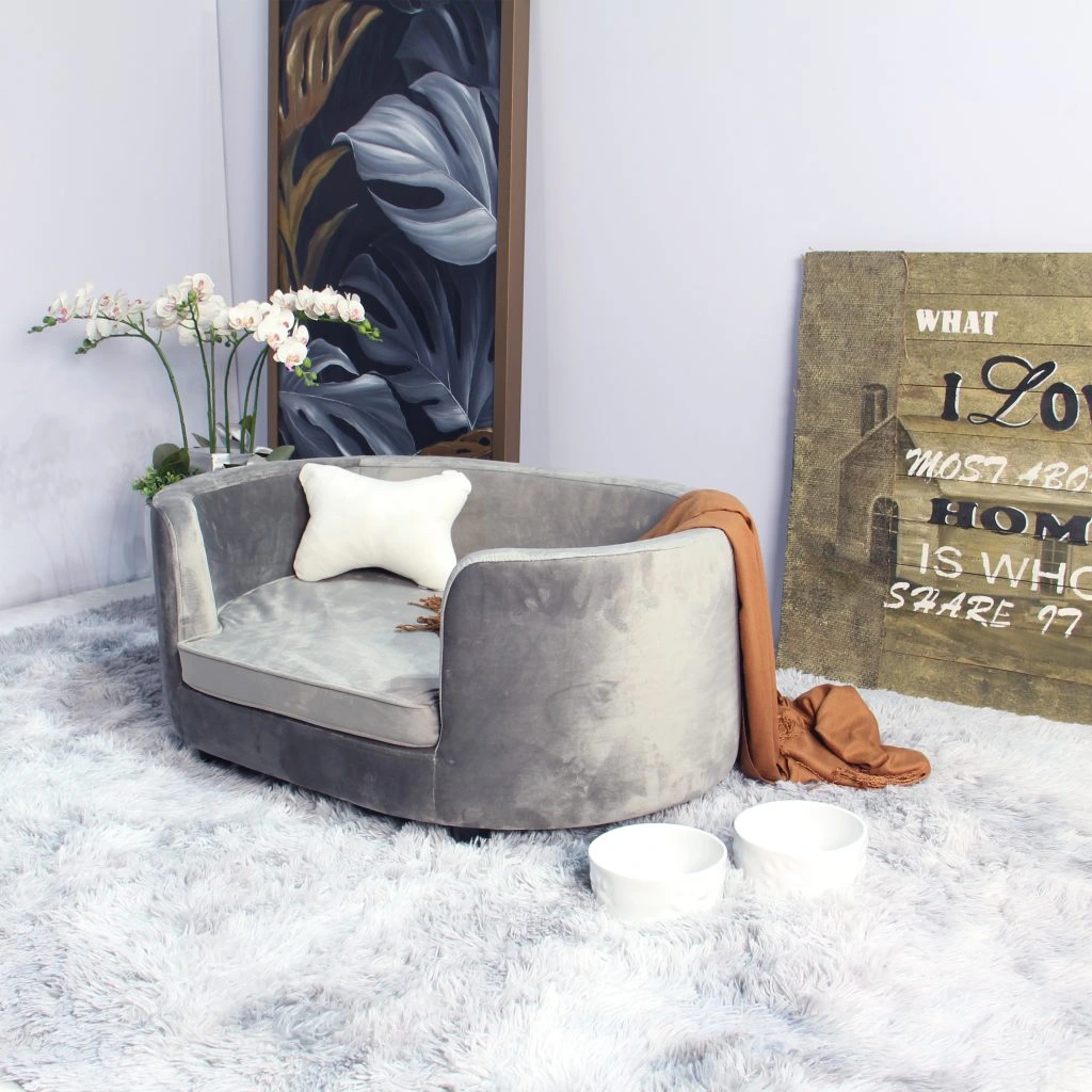 Sofa Thú Cưng Đẹp – Bền – Dễ Vệ Sinh Cho Boss Yêu 2025