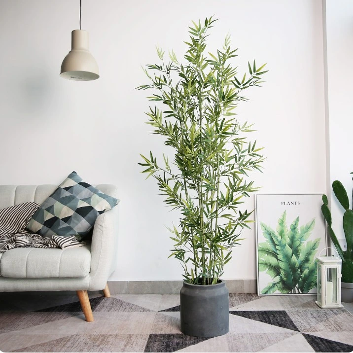 Chậu Cây Trang Trí Đẹp – Xu Hướng Decor Không Gian Sống Hiện Đại 2025