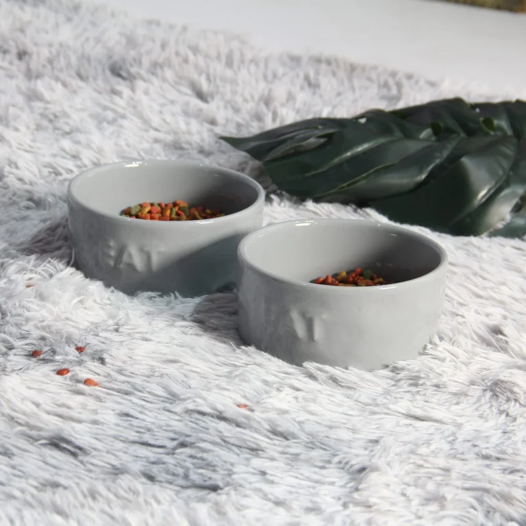 Cách Chọn Chén Ăn Thú Cưng Phù Hợp Với Từng Giống Chó Mèo