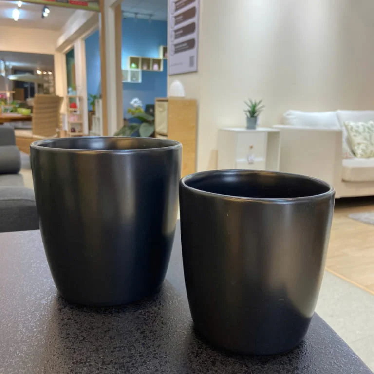 Chậu Cây Trang Trí Trong Nhà: Bí Quyết Tạo Không Gian Xanh