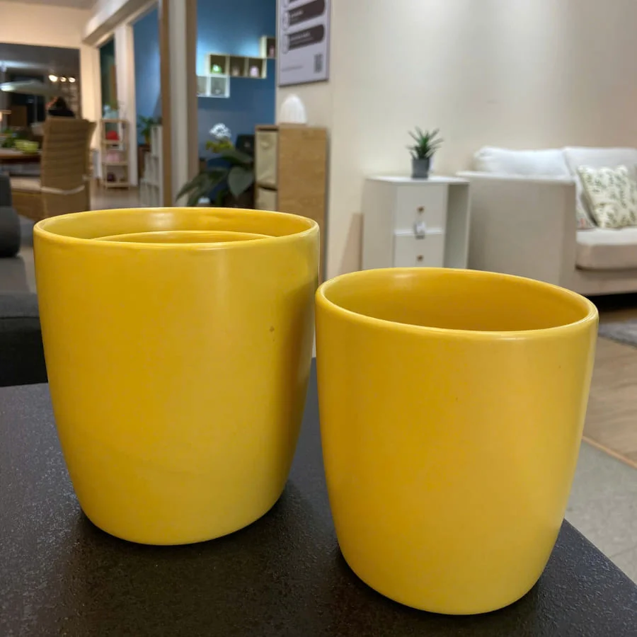 Chậu Cây Trang Trí Trong Nhà: Bí Quyết Tạo Không Gian Xanh