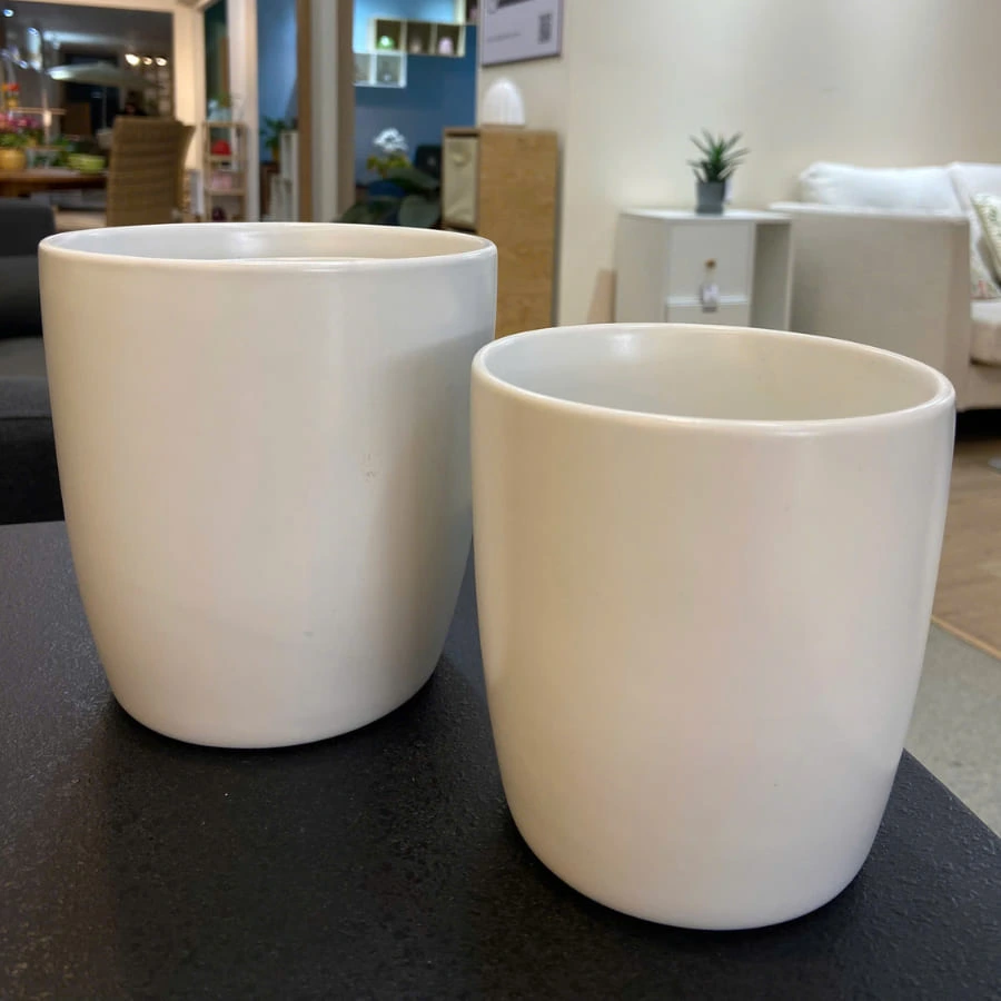 Cách Chọn Chậu Cây Trang Trí Đẹp Bền Và Dễ Phối Nội Thất