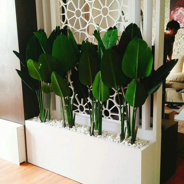 Chậu Cây Cảnh Trong Nhà Đẹp: Xu Hướng Trang Trí Nhà Ở Hiện Đại