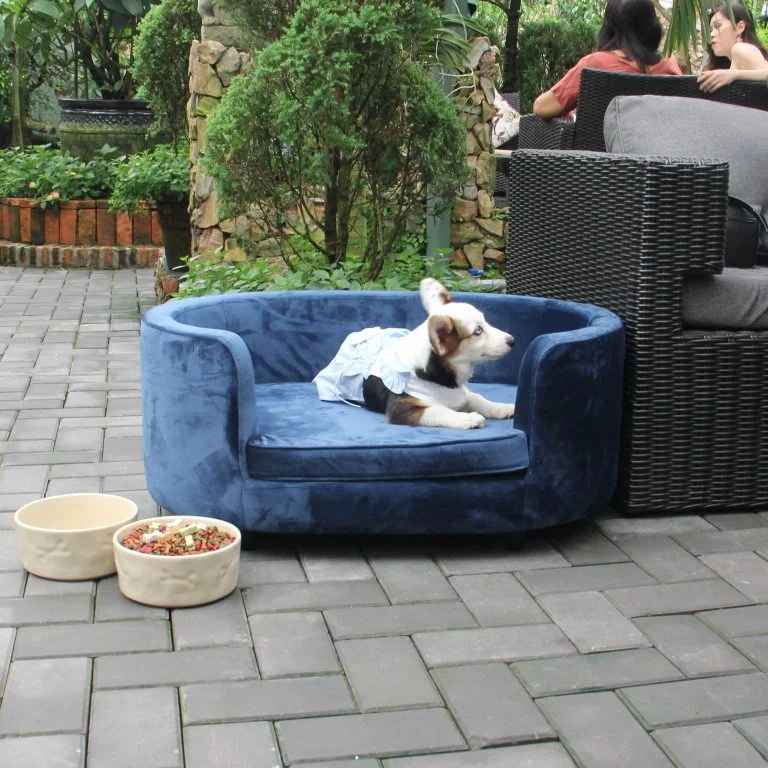 Xu Hướng Vật Dụng Cho Thú Cưng Được Ưa Chuộng Hiện Nay