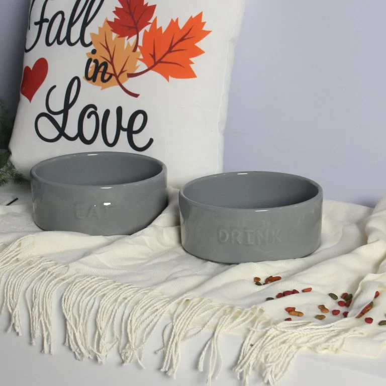 Vì Sao Nên Chọn Chén Ăn Thú Cưng Chất Lượng Cho Chó Mèo?