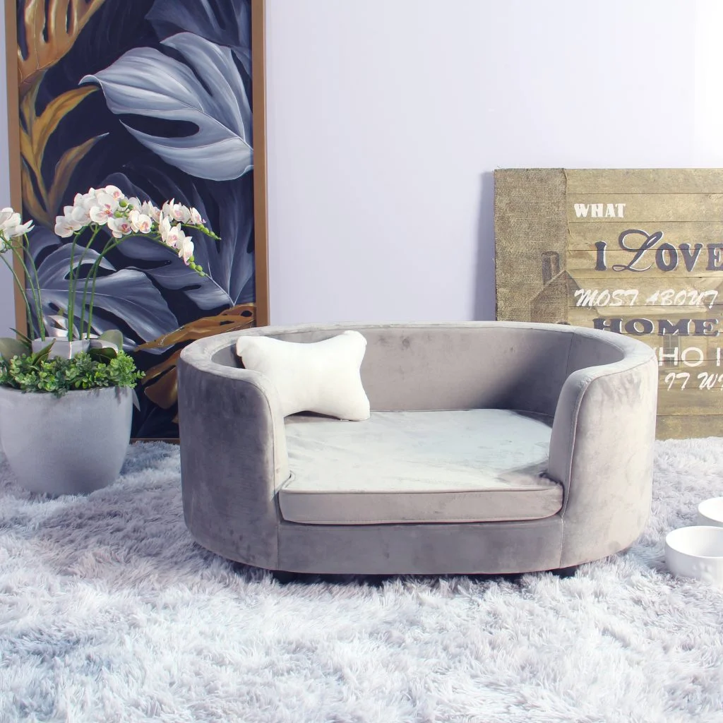 Bí Quyết Chọn Nội Thất Cho Thú Cưng Bền Đẹp, An Toàn Và Vệ Sinh