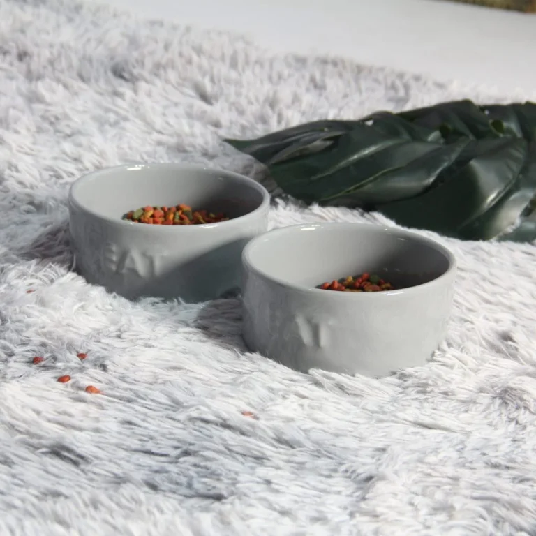 Vì Sao Nên Chọn Chén Ăn Thú Cưng Chất Lượng Cho Chó Mèo?